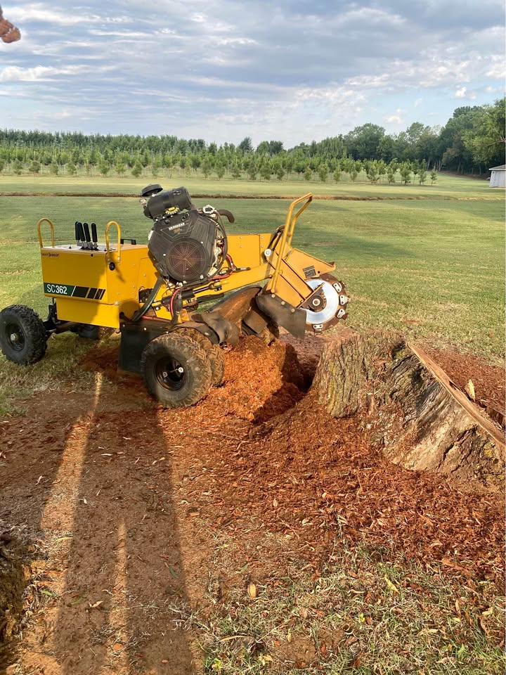 Stump grinder removing a tree stump